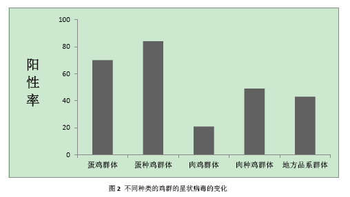 QQ؈D20170717144944.png